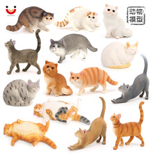 仿真实心静态动物模型家猫黄猫黑白波斯猫宠物猫儿童认知玩具摆件