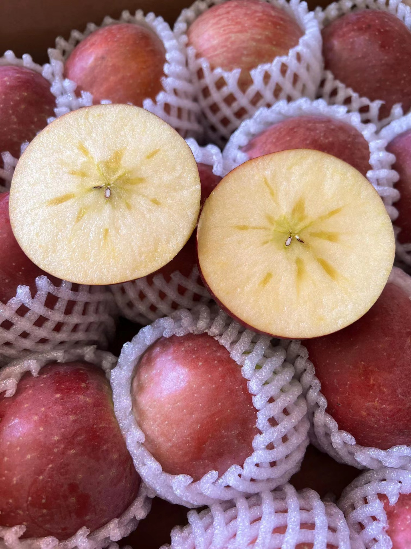 云南昭通丑苹果红富士苹果新鲜采摘 一件代发