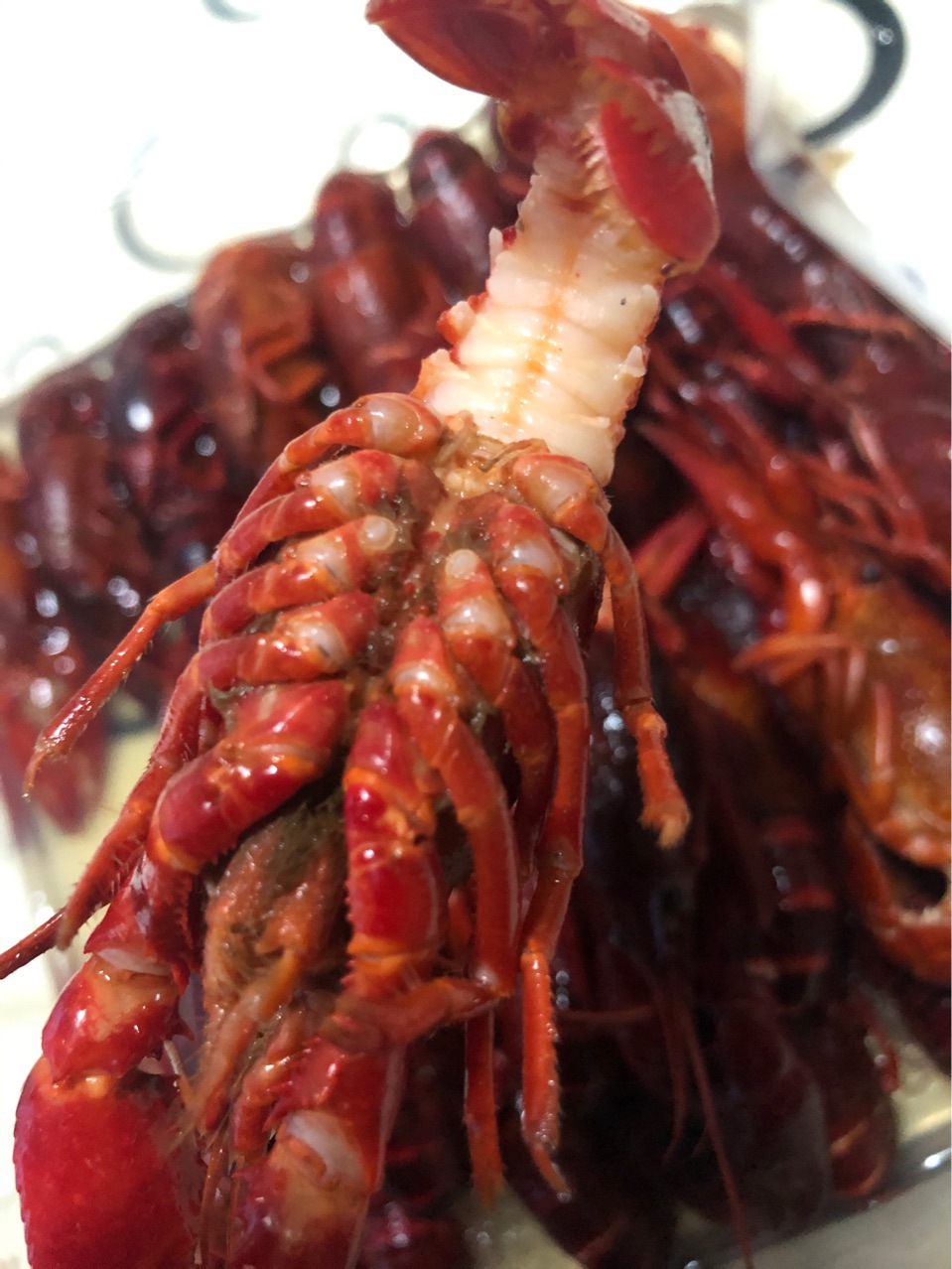 湖北小龙虾 液氮速冻批发整支原味鲜活冷冻深水虾 速冻清水小龙虾