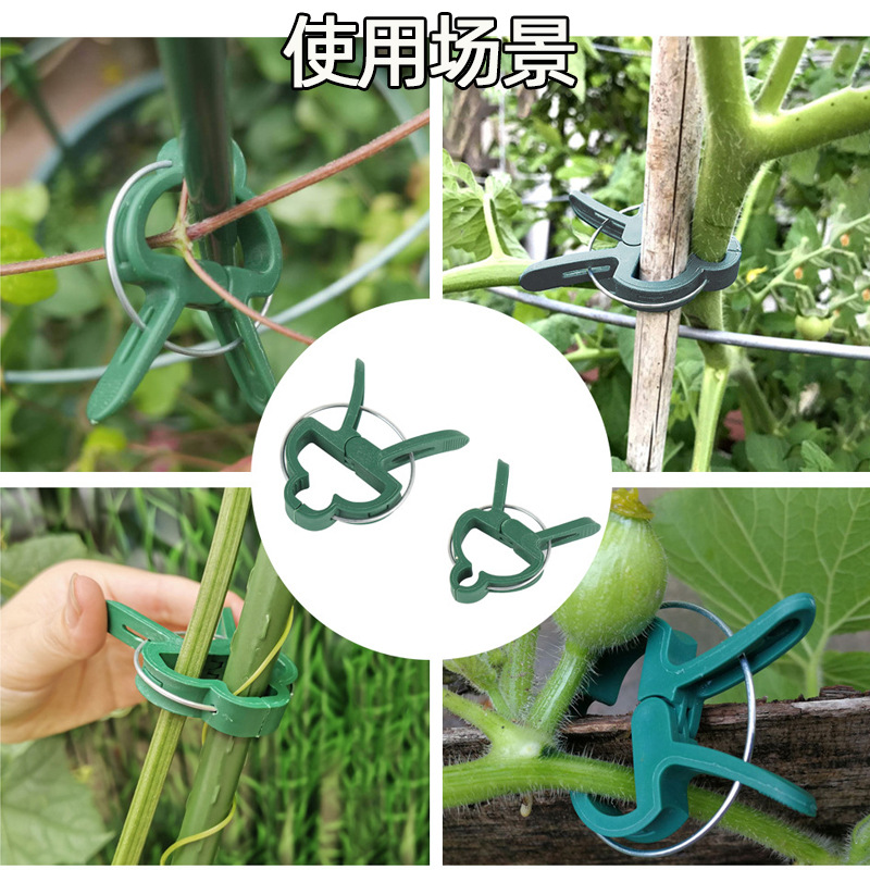 Plant Fixed Clip Suction Card Department Store Cross-Border Potted Branches Plastic Flowers Garden Accessories Set Clip Gardening Clip