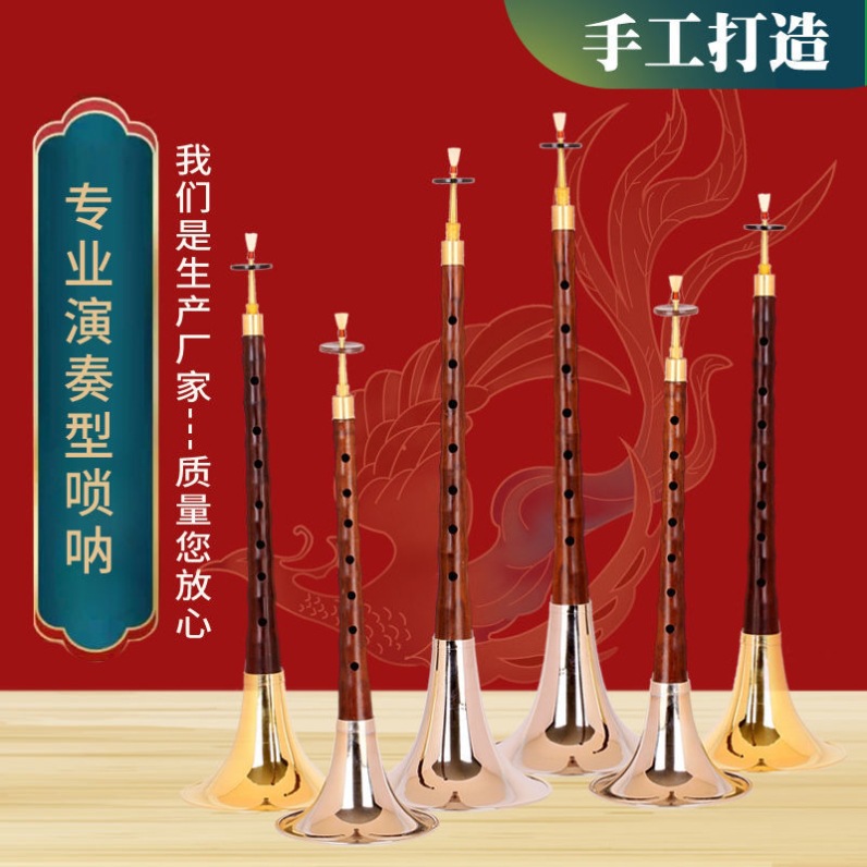 唢呐乐器初学者专业全套成人儿童演奏入门d调大中小号吹奏喇叭