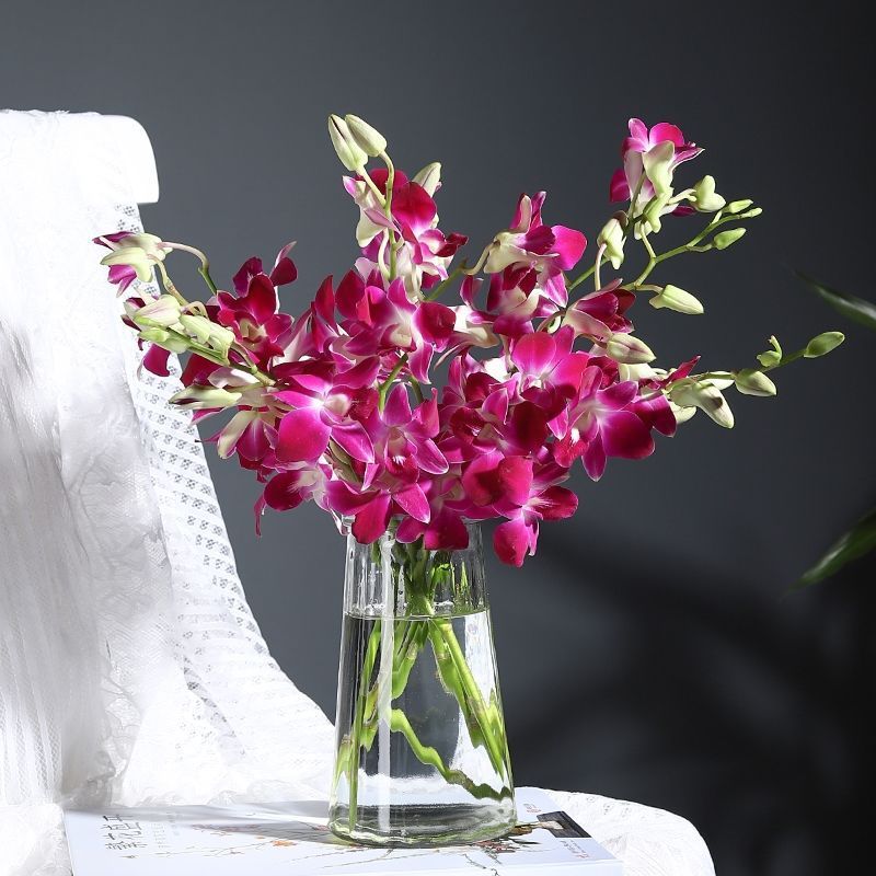 泰国洋兰鲜真花水养花插花花束家用云南昆明广州洋兰鲜花速递同城