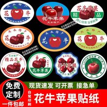 新款天水花牛苹果标签贴纸甘肃静宁红富士蛇果自粘不干胶商标