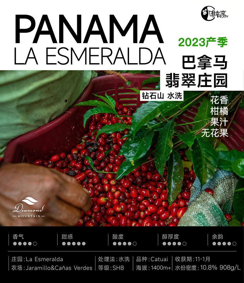 当季巴拿马翡翠庄园 钻石山水洗进口咖啡生豆 柑橘花香丰富果汁感
