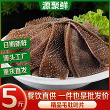 毛肚新鲜串串火锅食材商用5斤装净叶片千层肚牛肚牛杂牛百叶