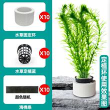 水草植物定植缸水草三件套陶瓷环固定杯下沉杯定植蓝定植环定植棉