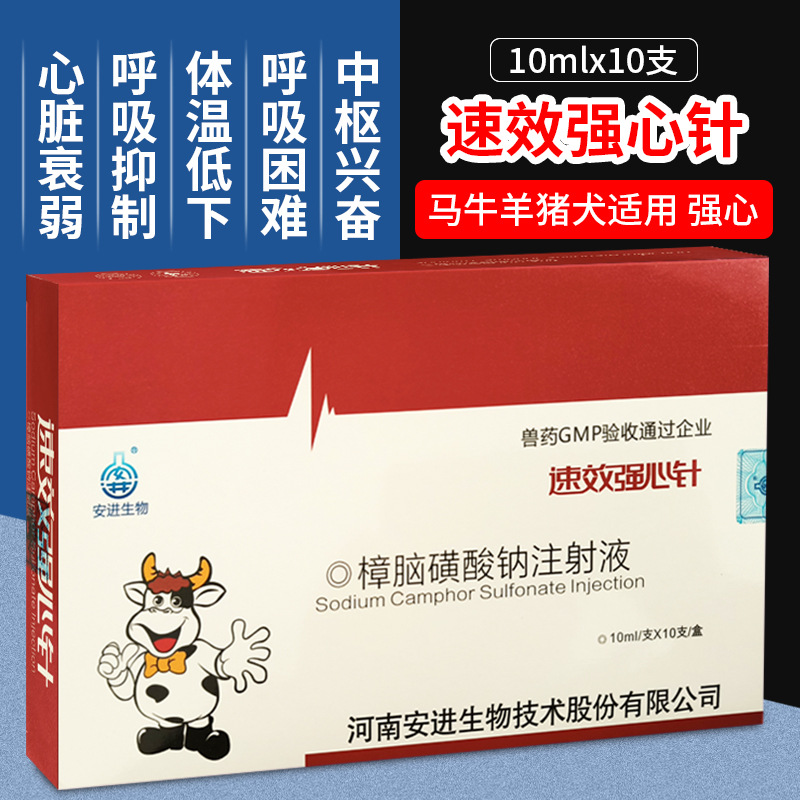 兽药兽用低温不吃注射液樟脑磺酸钠能量合剂激活针维生素c注射液