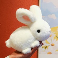 毛绒兔子可爱公仔兔绒玩具小白兔玩偶安抚布娃娃儿童女生礼物代发