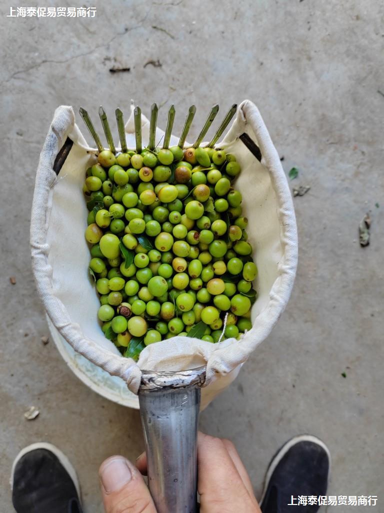 摘酸枣神器酸枣工具摘柏籽神器柏树籽工具山枣山楂农用工具新款