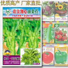 10克改良割心油菜苔种子 芸苔菜芥菜台寒菜菜心菜薹 蔬菜种子批发