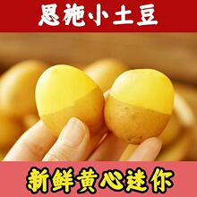 恩施小土豆