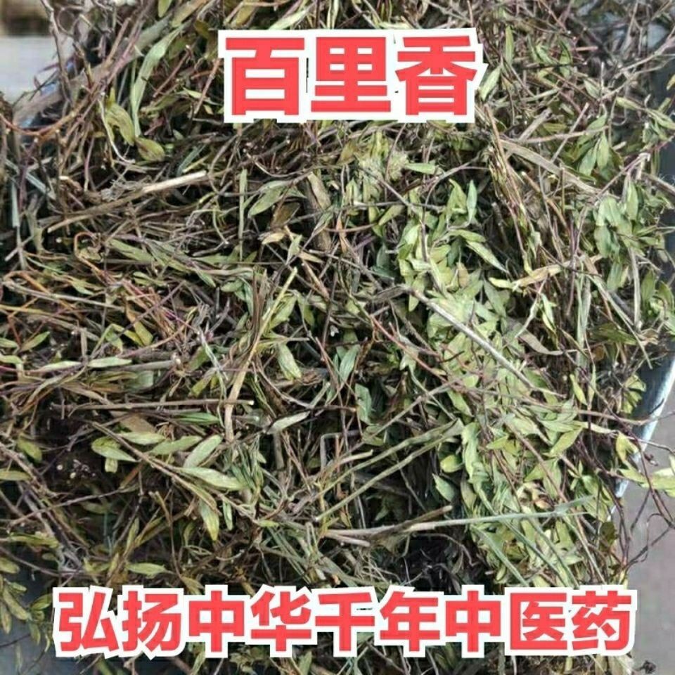 百里香中药材 百里香草 地椒 地花椒 山椒 山胡椒 无硫 晾晒干货