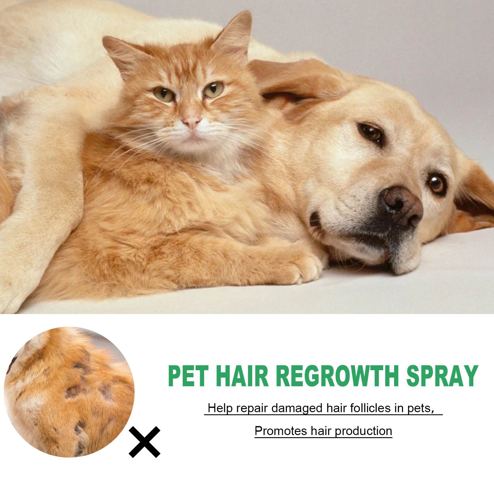 Yegbong Pet Hair Increasing Agent Dogs and Cats Hair Conditioning Hair Loss Hair Care Spray