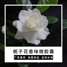 直供栀子花香味整理剂家纺加香剂助剂艾草/玫瑰/洋甘菊香味微胶囊