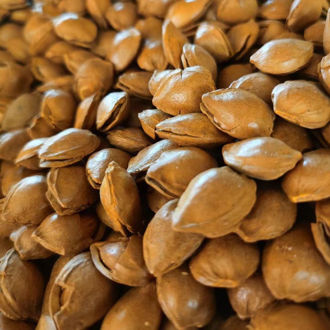 新货特产杏核手剥小杏仁硬壳杏仁蔚县小银杏