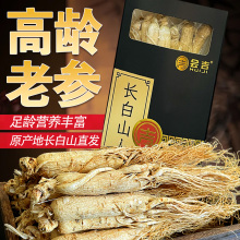 正宗长白山人参 6-8年 野山参 白参干人参干货生晒参泡酒非西洋参