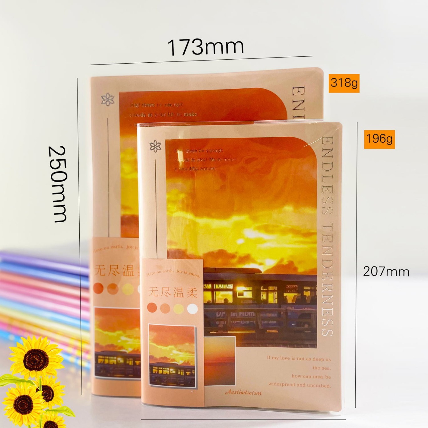 雪宁a5胶套本系列学生ins风笔记本日记本精美b5文具本子批发-阿里巴巴