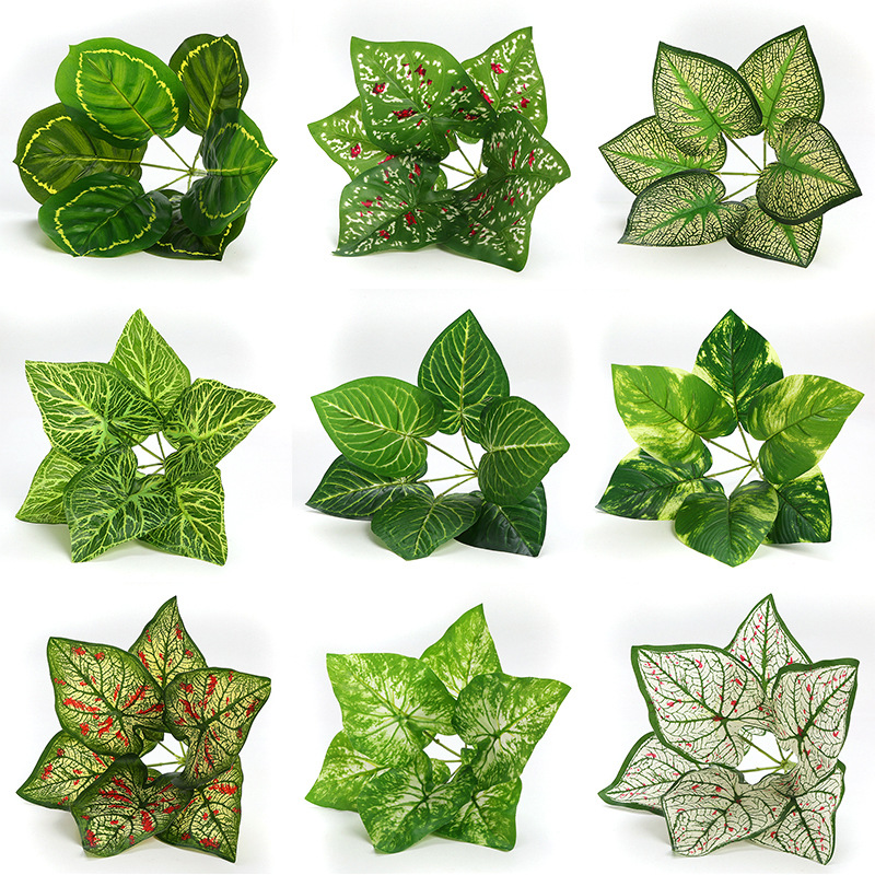 现货新6头圆萝叶子胶片叶装饰背景墙绿植配材仿真万年青龟背叶