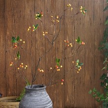野果蔓越莓长枝浆果蓝莓藤条壁挂花卉室内装饰水管缠绕细藤枝