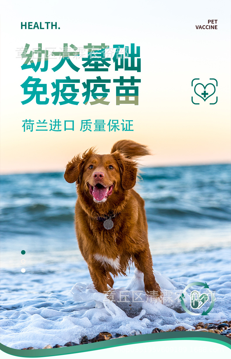 荷兰英特威犬四联疫苗狗狗疫苗预防针预防4种疾病批发一件代发