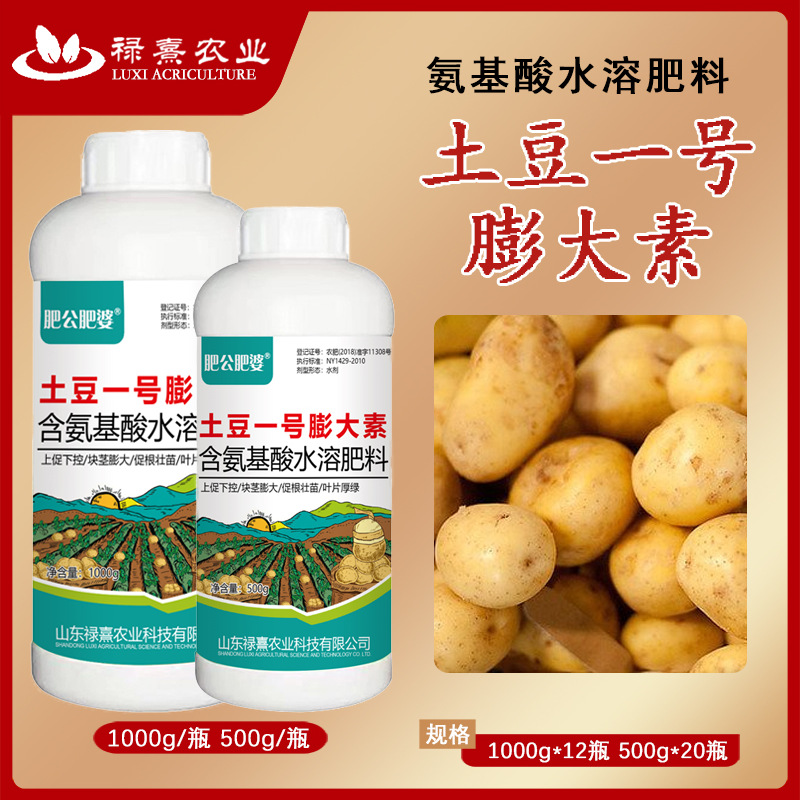 肥公肥婆土豆一号膨大素土豆专用肥膨大增产防畸形果裂果农业产品