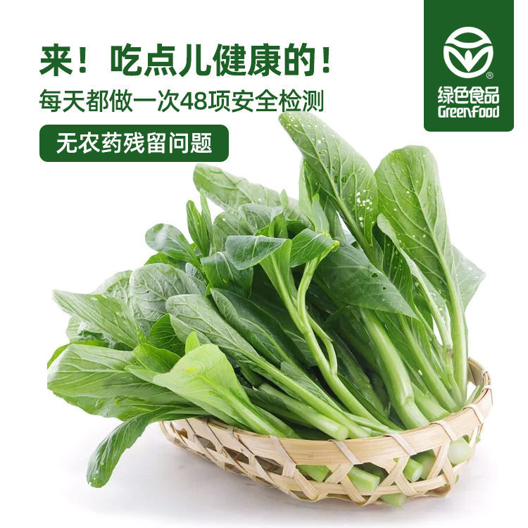 广东菜心新鲜蔬菜非宁夏菜心菜苔菜心青菜白菜苔四季酒店品质