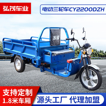 常州电动三轮车可上牌国标快递拉货家用农用摆摊载货载重王电瓶车