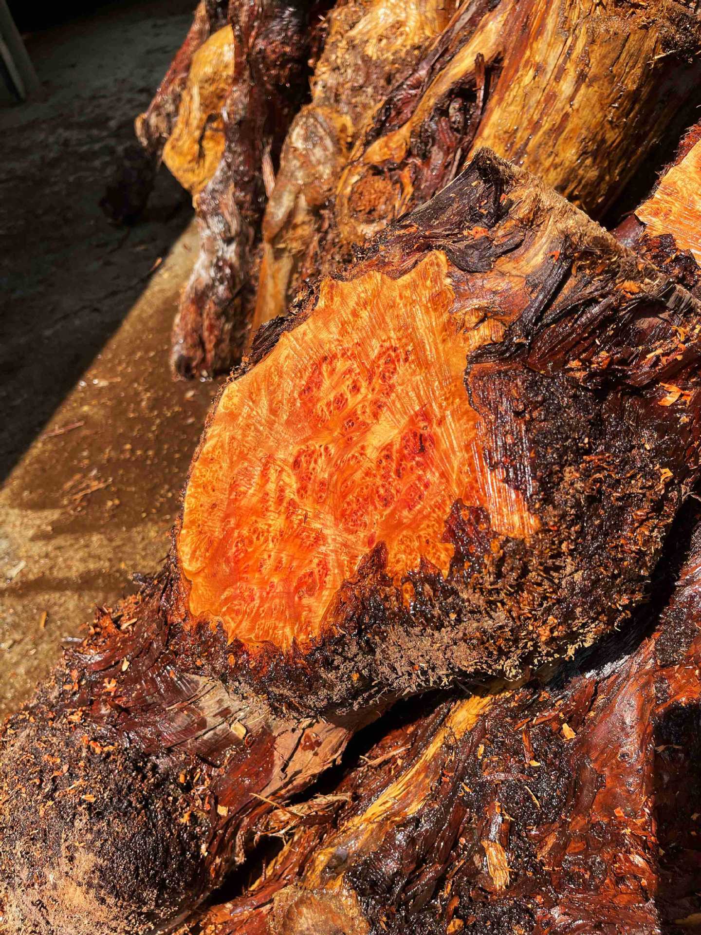 陈化崖柏高山香柏木树瘤圆木树瘤料雕刻料茶盘料树脂河流桌原料