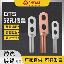 DTS-25/400系列双孔铜鼻子接线端子双眼线耳紫铜镀锡电缆接线端头