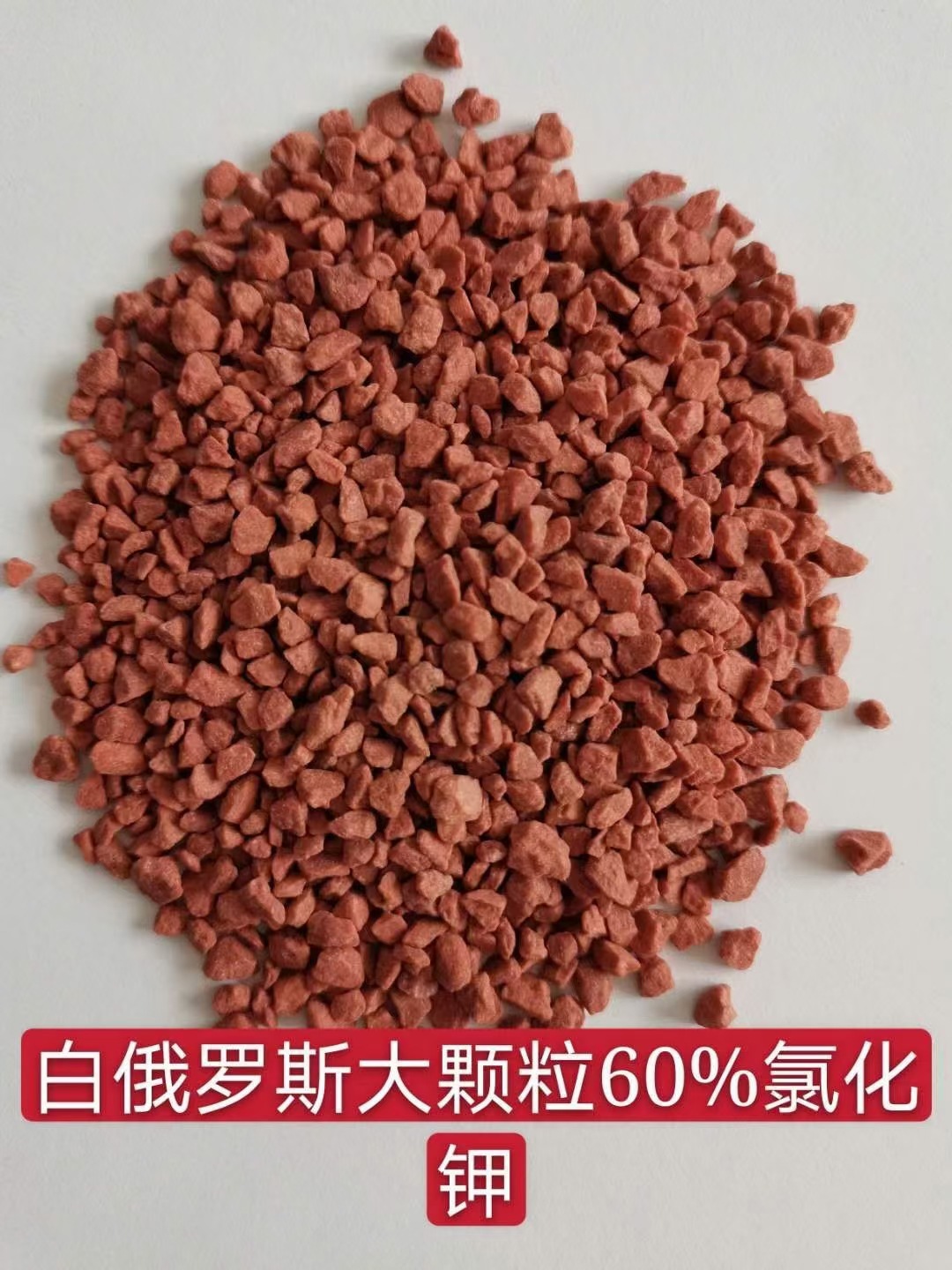 批发 农用氯化钾 氯化钾颗粒红钾 小麦专用钾肥 中国农资氯化钾