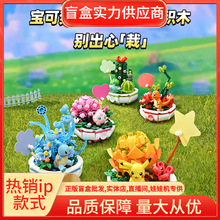 正版宝可梦Pokémon 多肉盆栽系列积木皮卡丘周边摆件玩具礼物批