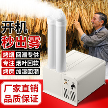 超声波大雾量空气加湿器商用工业蔬菜保鲜喷雾机大型大功率除静电