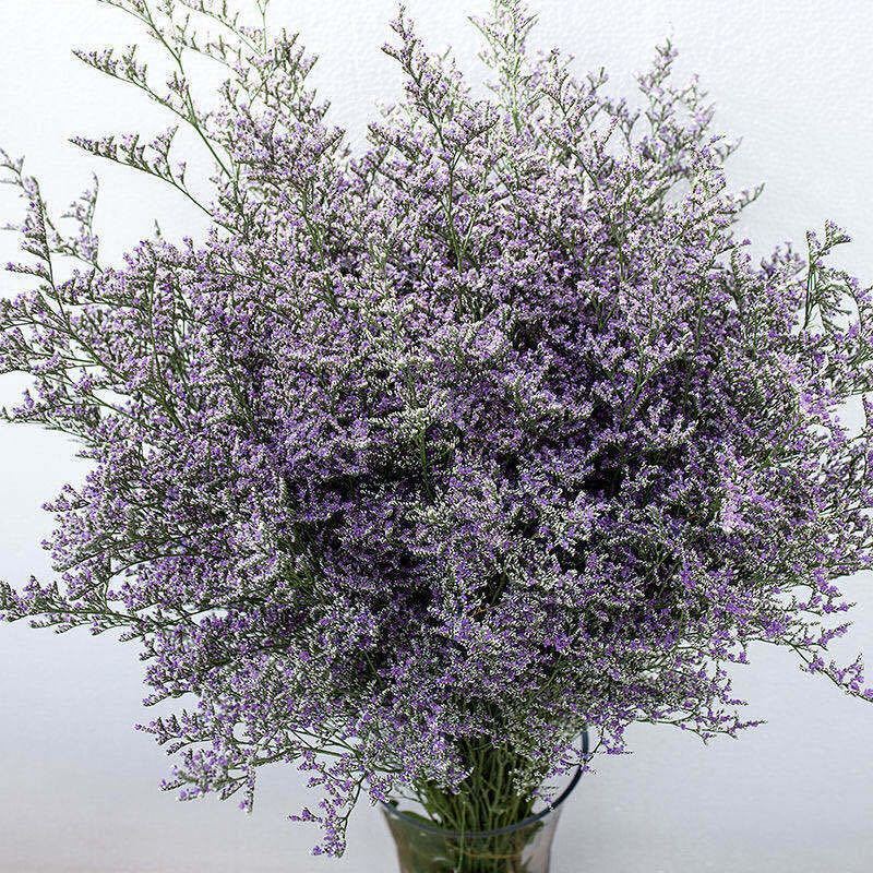 情人草干花批发勿忘我真花花束摆件diy礼物地摊配家居装饰速卖通