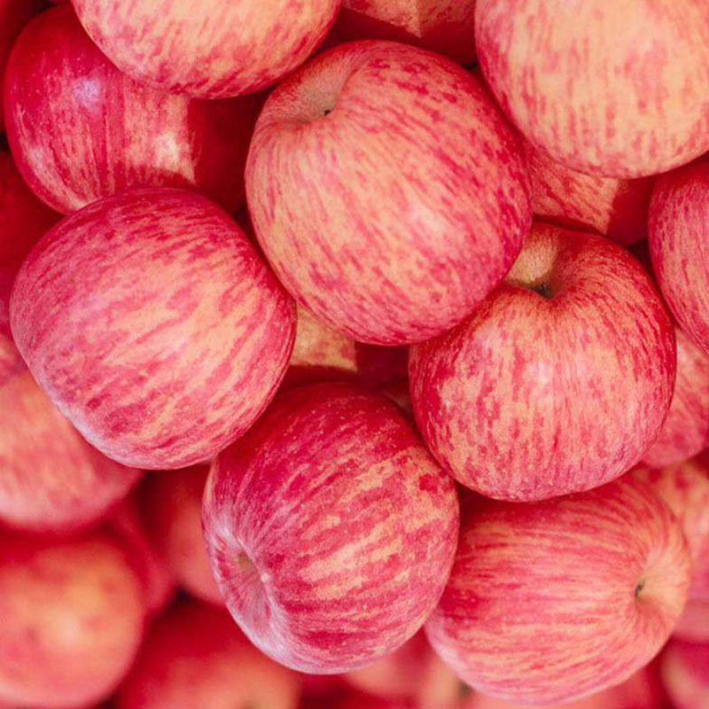 山东苹果产地-山东苹果产地厂家,品牌,图片,热帖-阿里巴巴