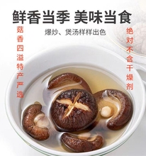 干货净重无干燥剂大小可选新鲜特产干冬菇蘑菇煲汤