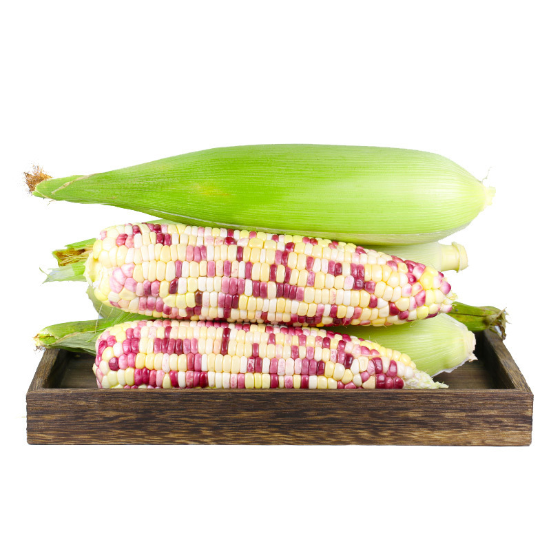 水果粘玉米-水果粘玉米厂家,品牌,图片,热帖-阿里巴巴