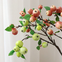 小苹果道具教具枝装饰菩萨客厅餐桌实摆件树枝插花带套装