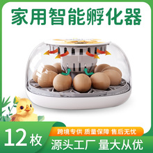 WONEGG孵化器12枚家用儿童益智孵蛋器鸡鸭养殖设备可视上盖