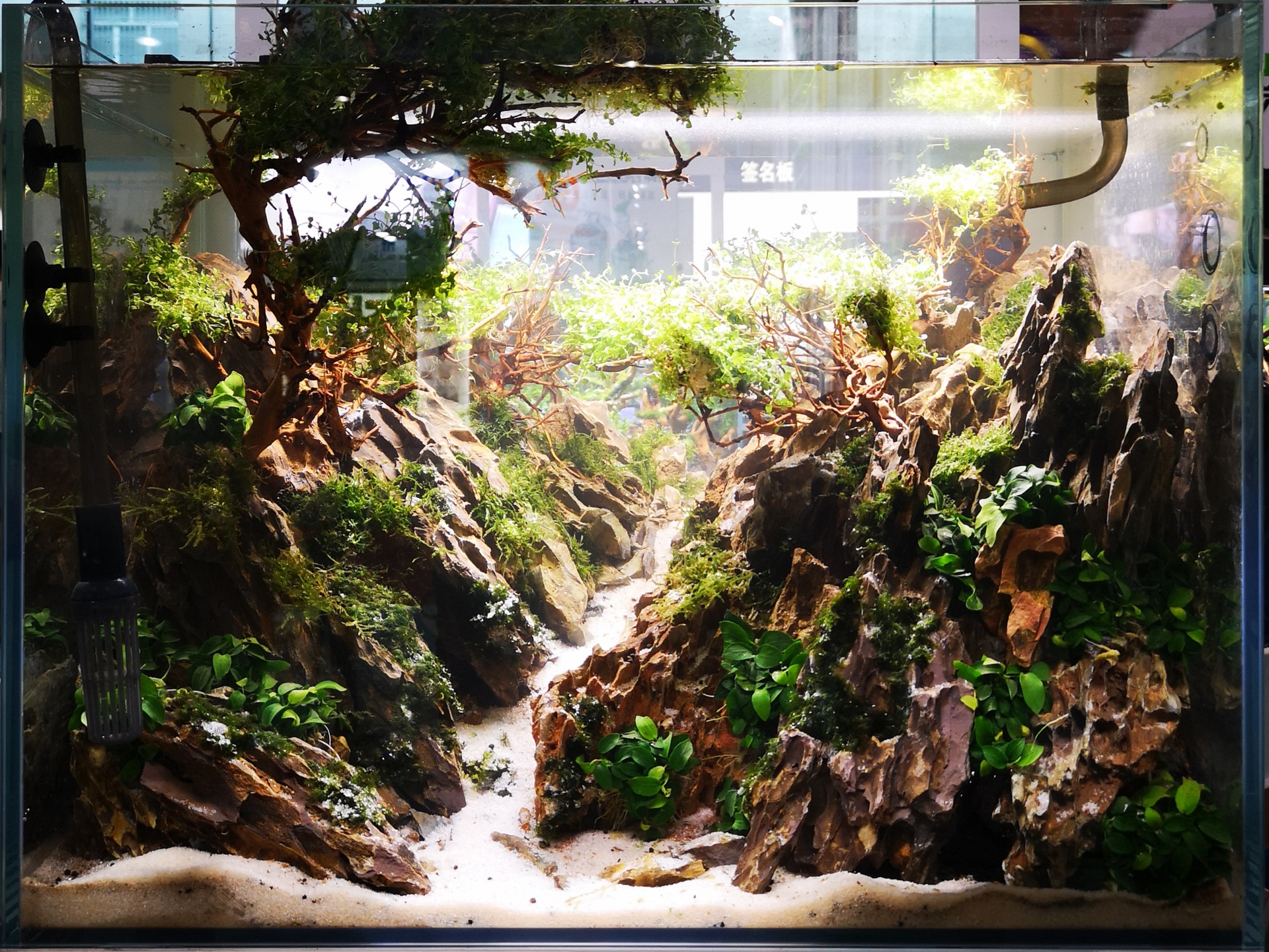 鱼缸造景石景观石天然松皮石假山石水草缸造景盆景装饰石水草造景