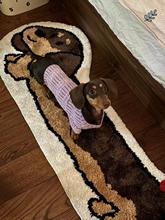 可爱腊肠狗ins风卧室防滑床边毯耐脏植绒地毯家用异形狗狗地毯