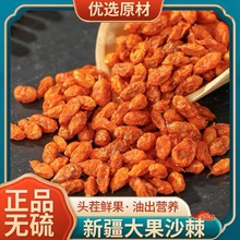 精选沙棘果瓶装100g250g袋装100-500g新货新疆沙棘大果沙棘干果