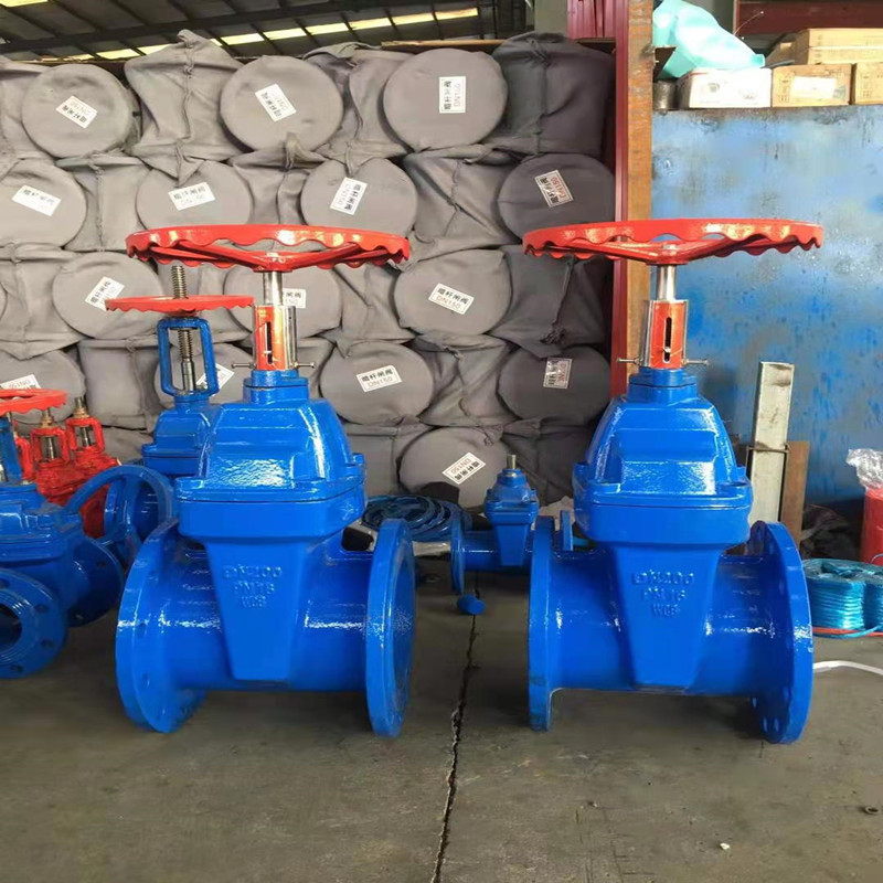 厂家现货 带刻度法兰闸阀带刻度数字显示软密封暗杆闸阀 铸铁批发