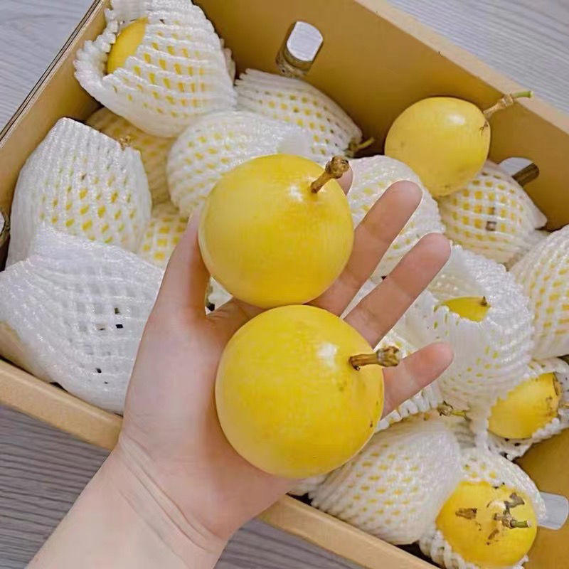 黄金百香果顺丰包邮钦蜜9号特大果纯甜海南新鲜应季水果整箱代发