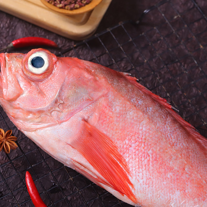大眼鱼假冒红石斑鱼图片
