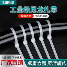 电线捆绑整理黑白塑料捆绑扎线带4*150白色宽*3.6mm 自锁式尼龙扎
