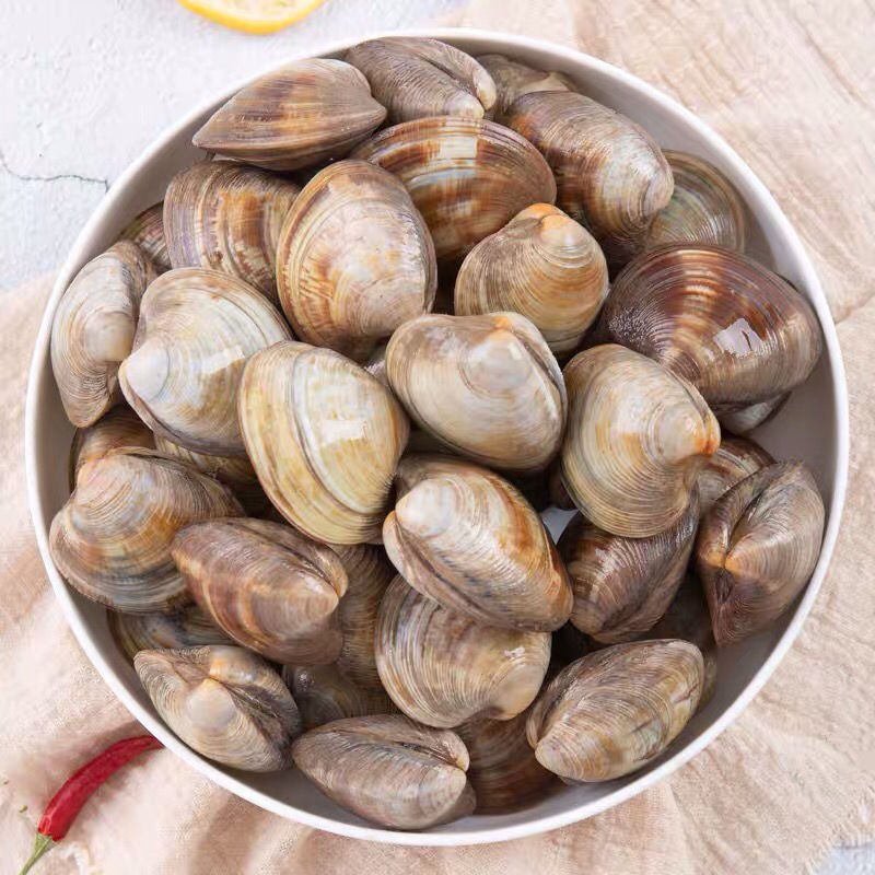花甲美贝鲜活蛤蜊海鲜无沙花蛤文蛤新鲜贝类白黄蚬子大蛤蜊速卖通