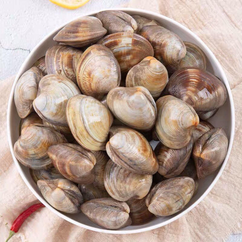 花甲美贝鲜活蛤蜊海鲜无沙花蛤文蛤新鲜贝类白黄蚬子大蛤蜊速卖通