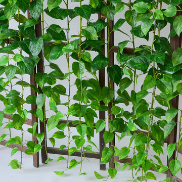 仿真绿萝叶藤条绿植藤蔓植物树叶子管道吊顶装饰花藤假花塑料绿叶