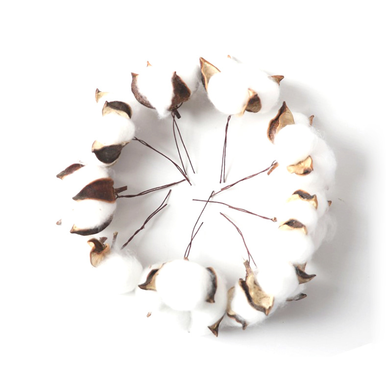 天然干花棉花头 diy手工艺品 单头木棉花头 居家装饰摄影道具