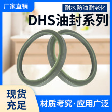 高端进口防尘油封DHS38*46*40*48*45*53*50*58*53*61*55*63*6.5